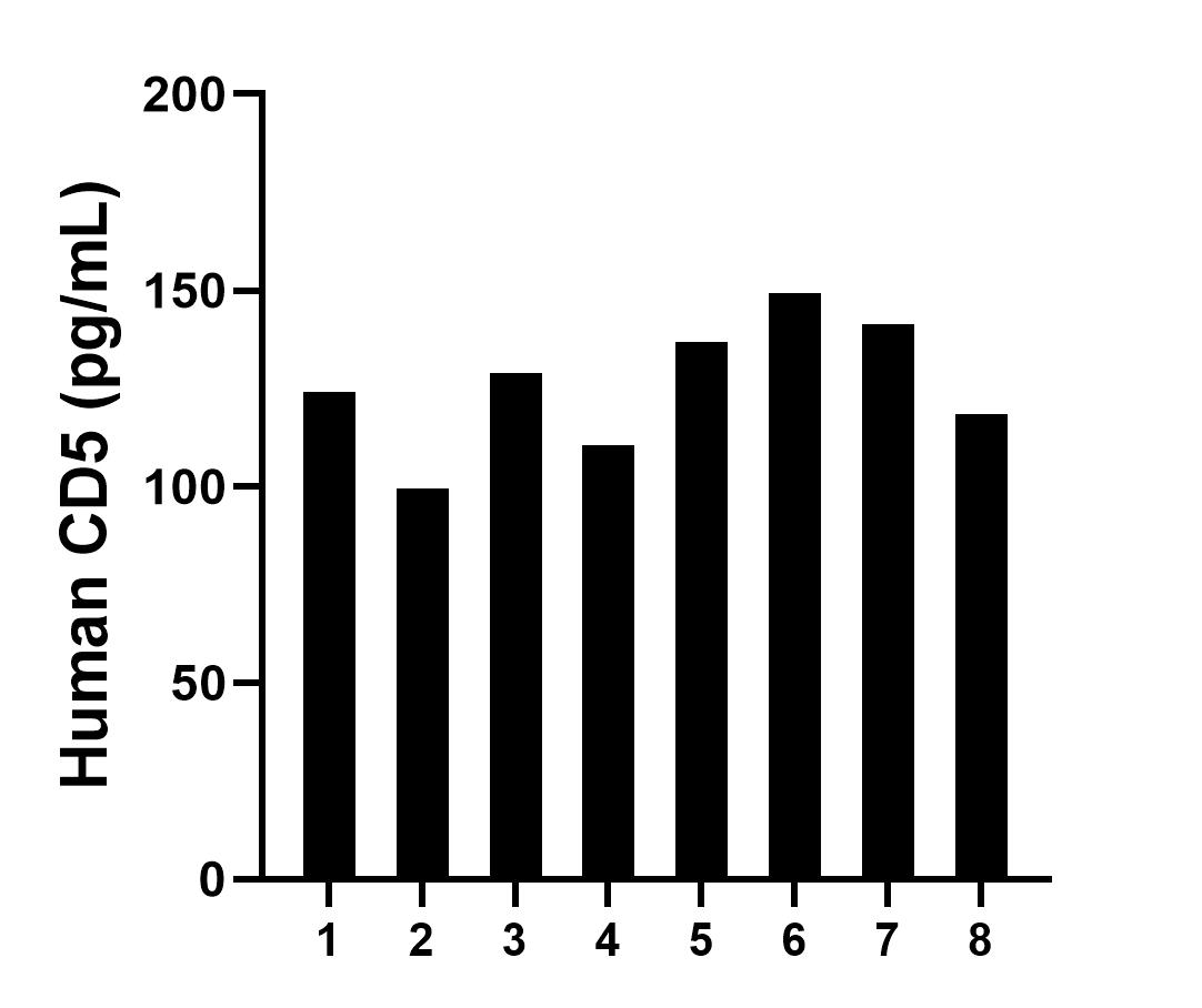 Serum of eight individual healthy human donors was measured. The human CD5 concentration of detected samples was determined to be 126.14 pg/mL with a range of 99.4 -149.2 pg/mL.